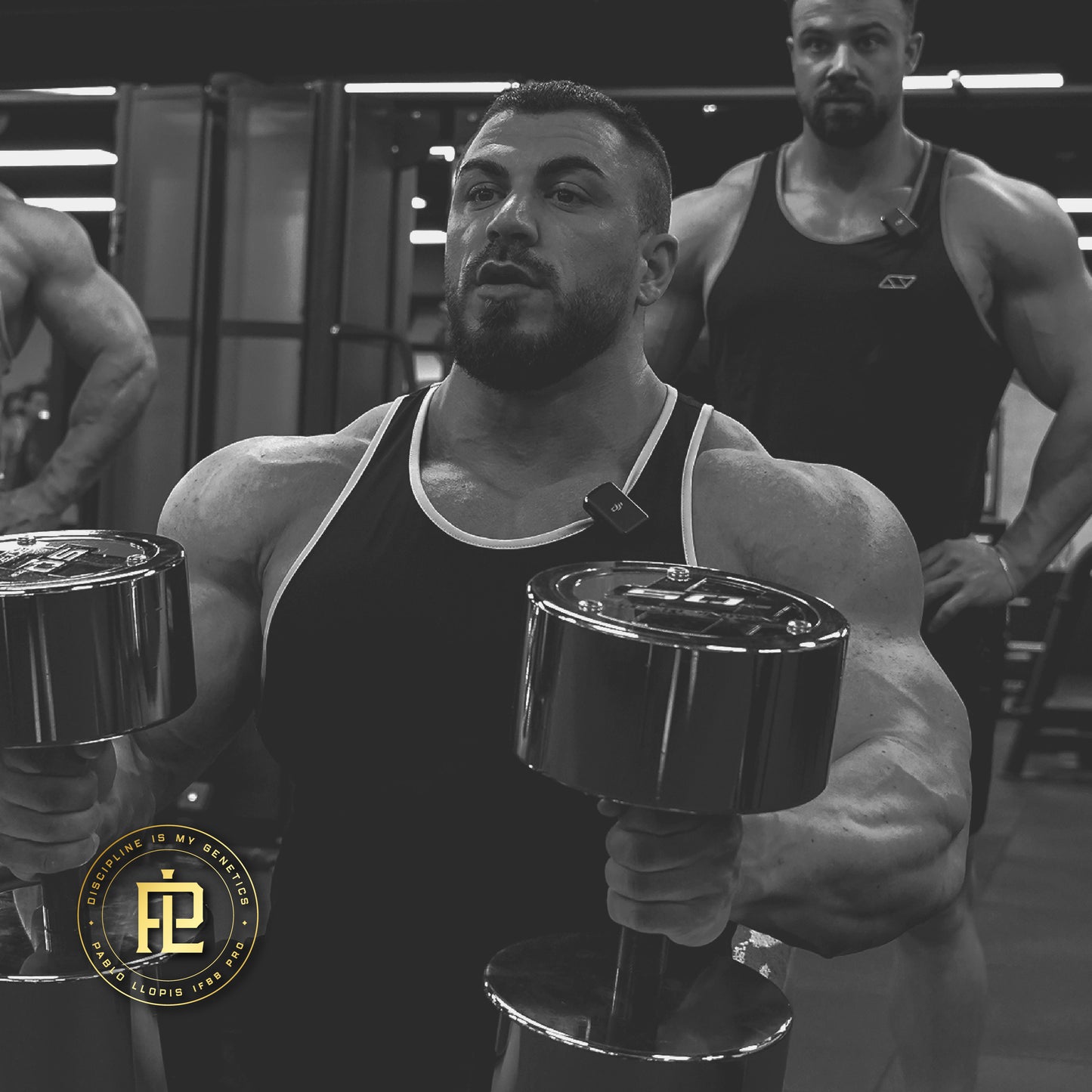 Pablo Llopis Plan Oro 1 Año